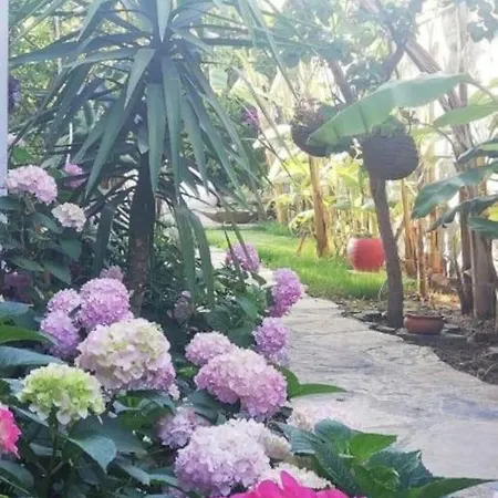 Memories Guemuesluek'te Oezel Havuzlu Bodrum