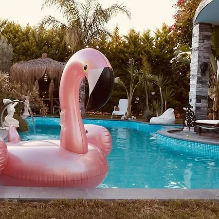 Memories Guemuesluek'te Oezel Havuzlu Villa *